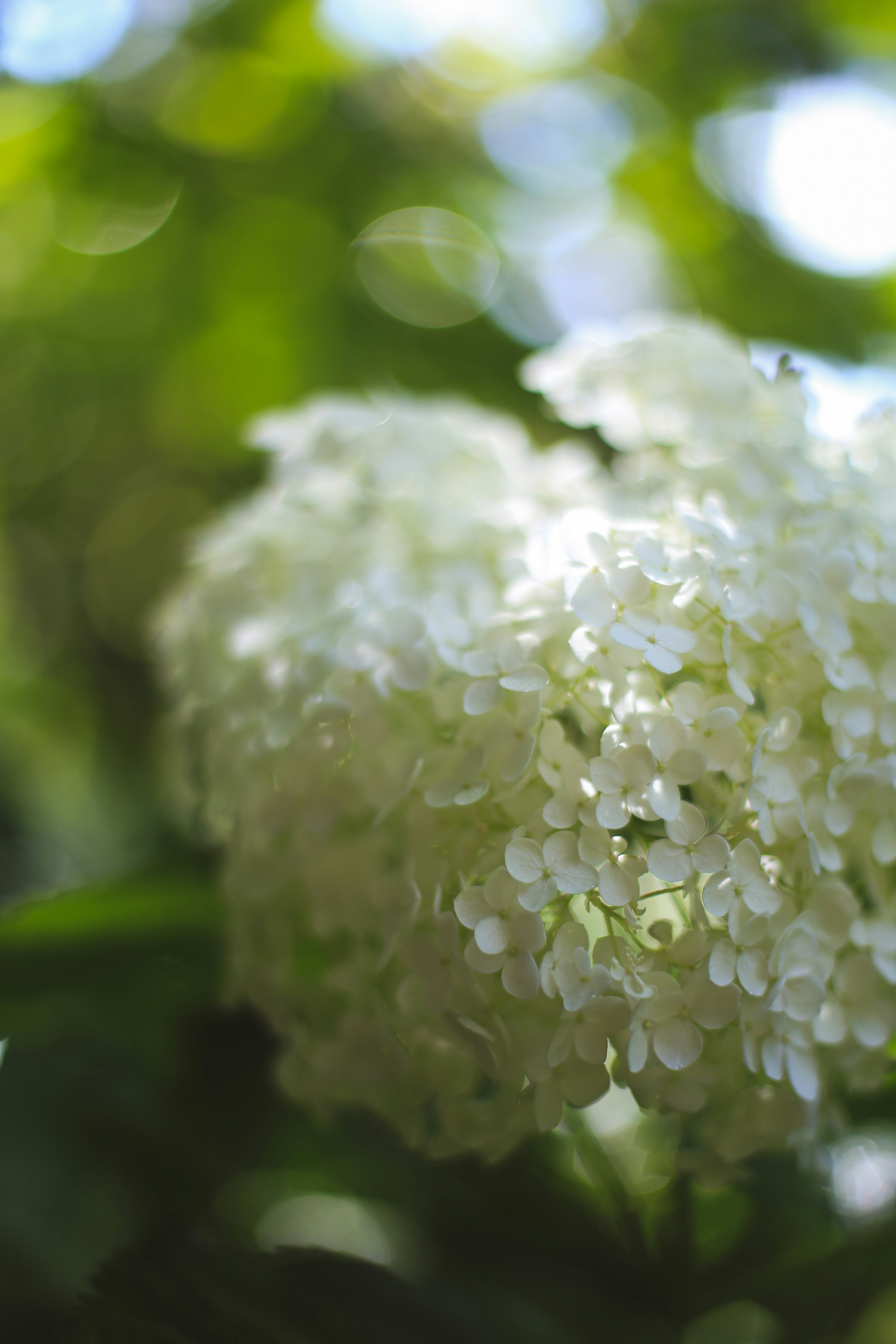 Photo by jessicalfadel