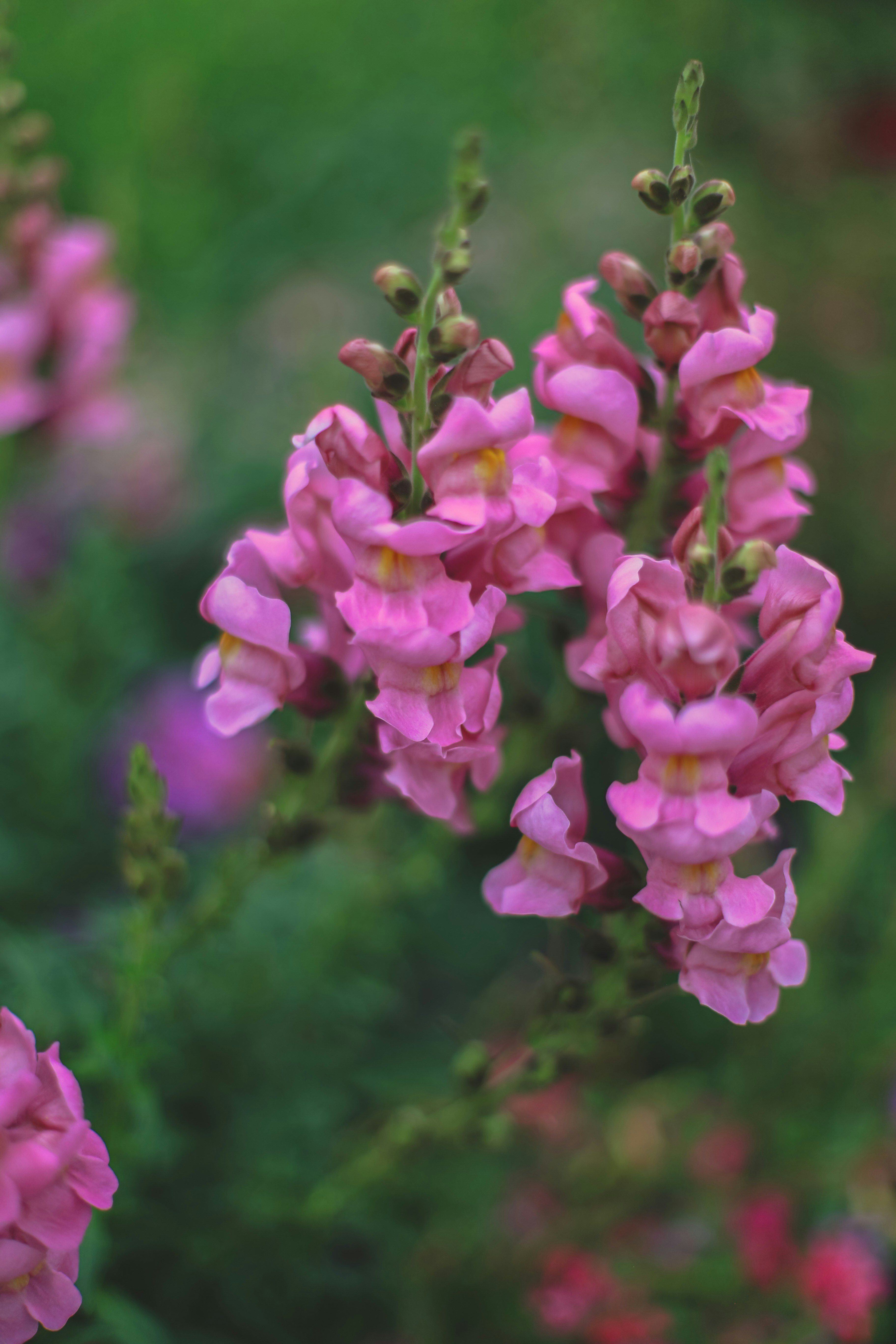 Photo by jessicalfadel