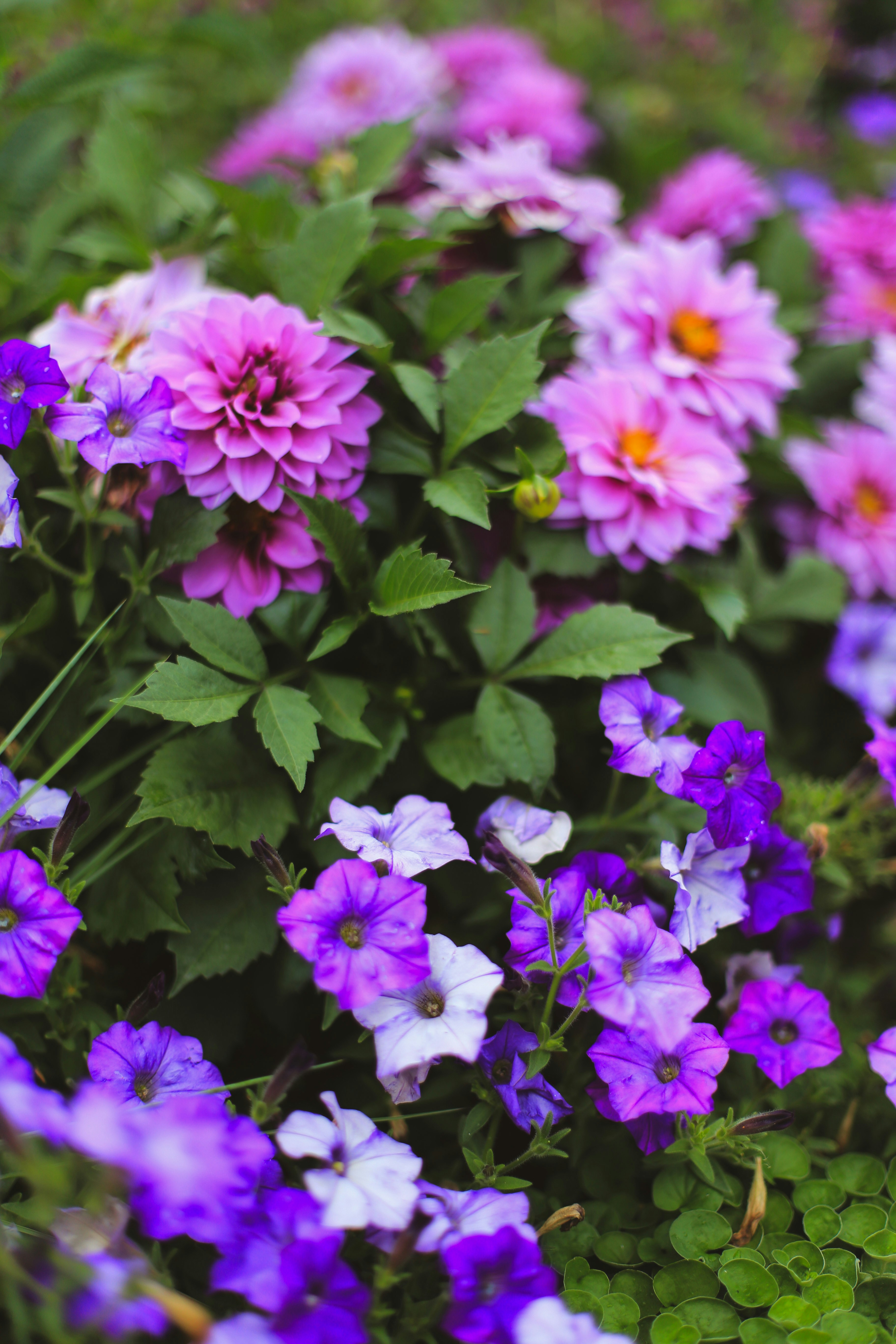 Photo by jessicalfadel