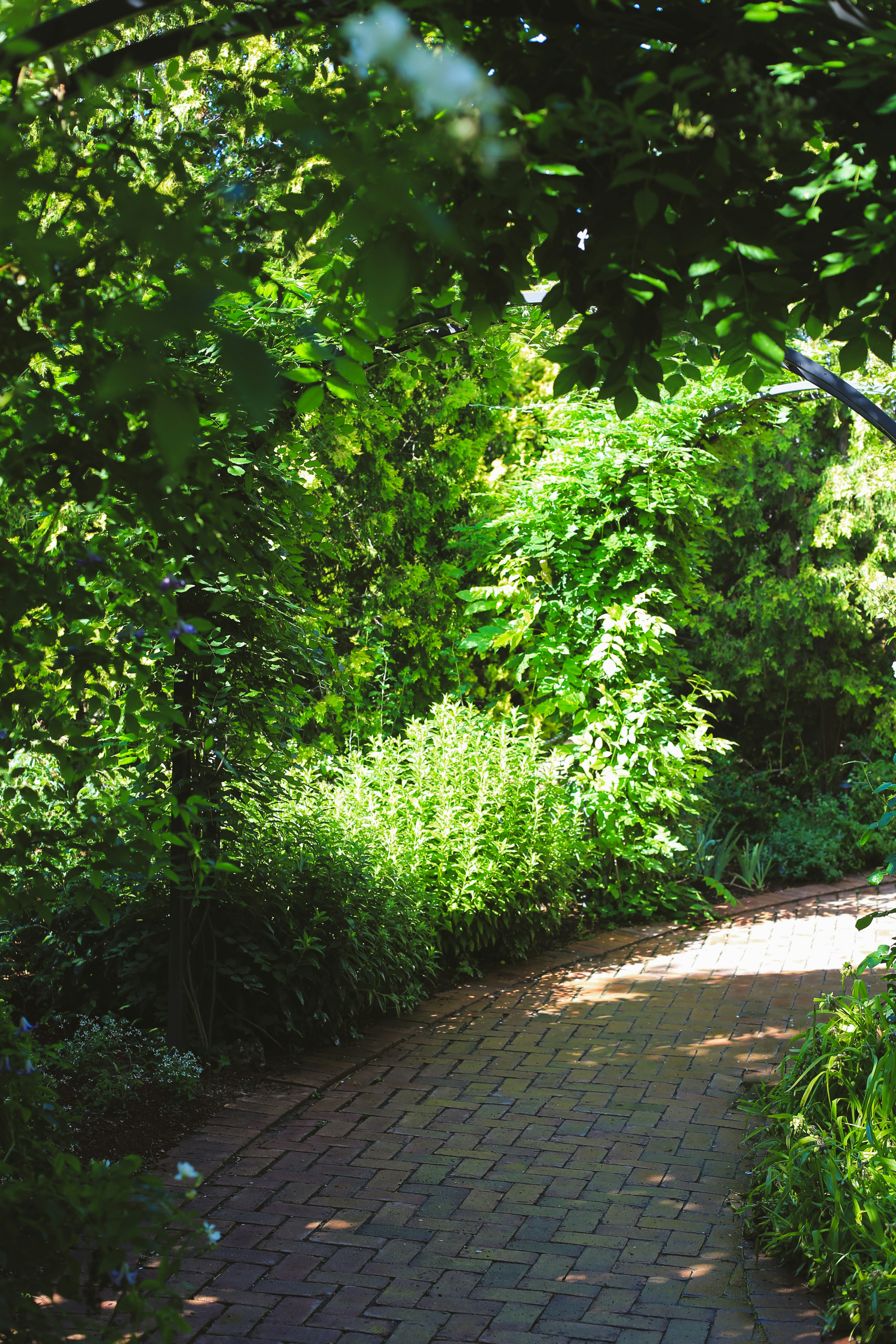 Photo by jessicalfadel