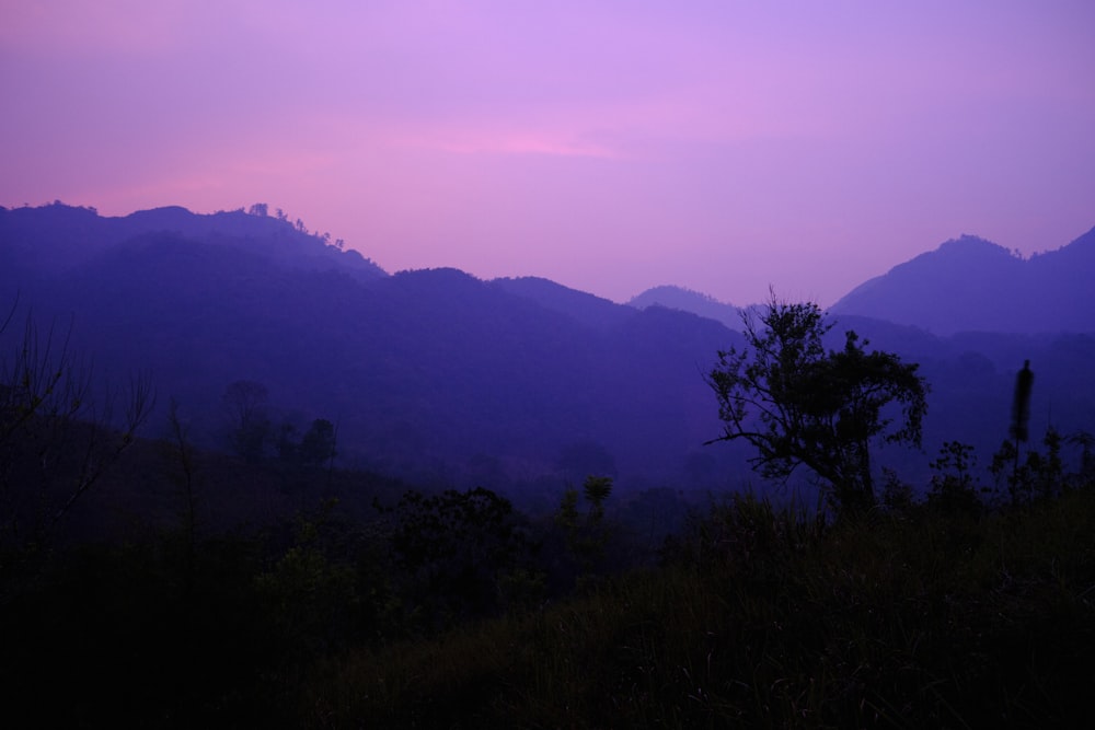 a purple sky with mountains in the background