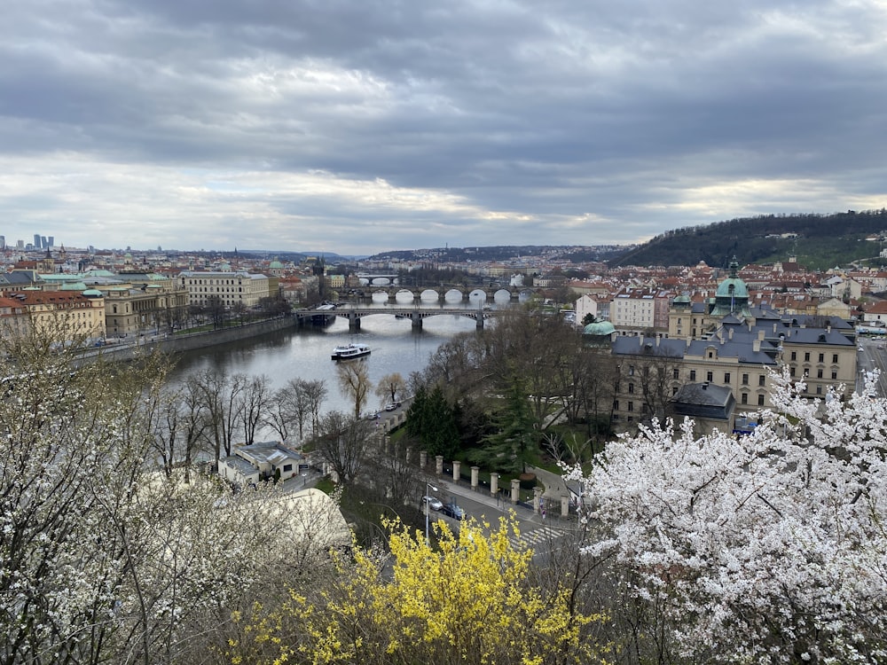 a view of a river and a bridge in a city