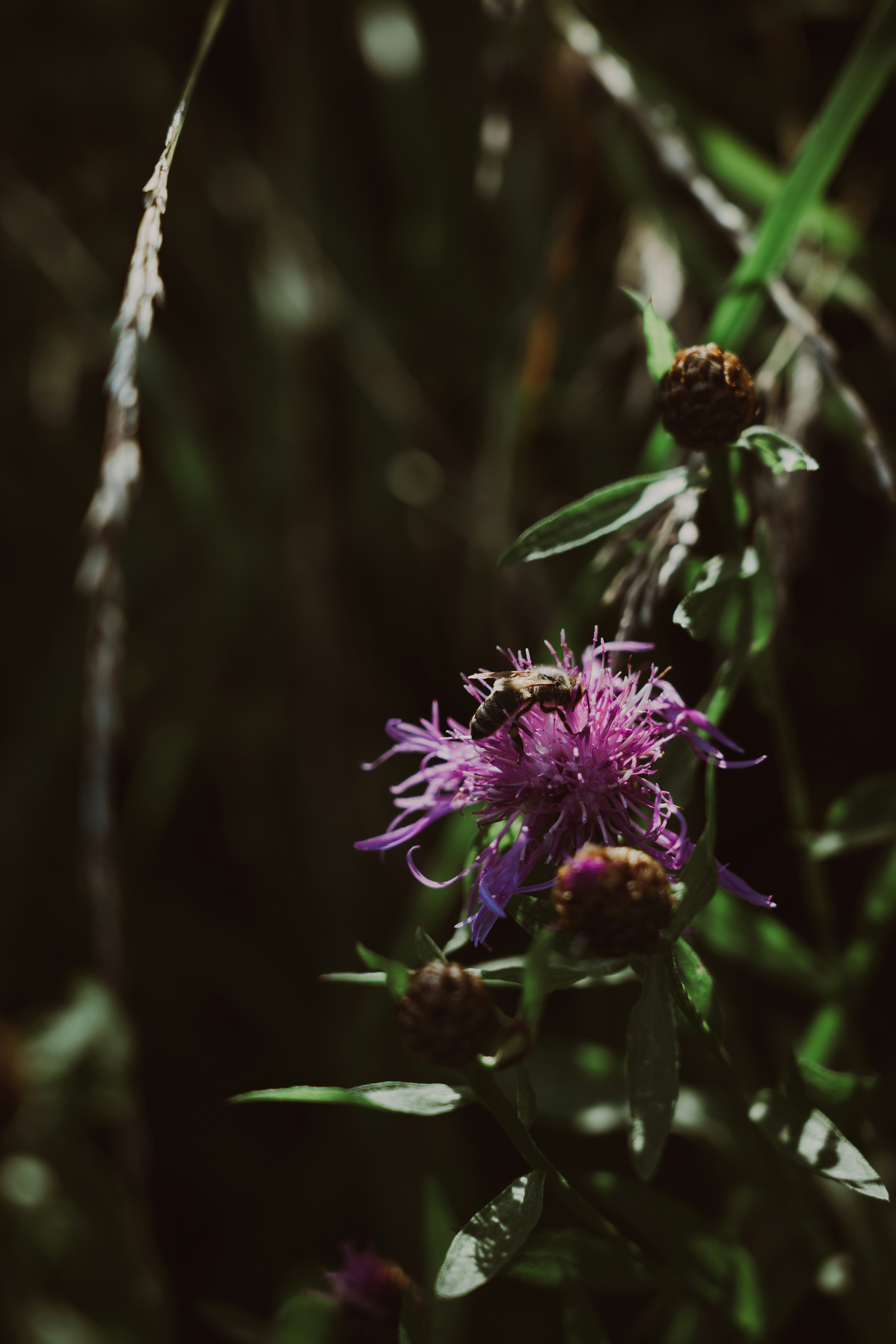 Photo by hellaren