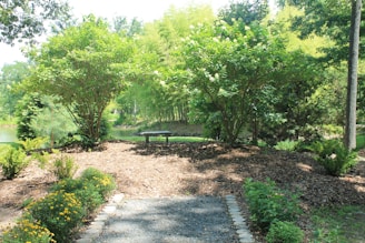 A peaceful backyard garden showcasing a wooden bench surrounded by vibrant shrubs and a small water feature.
