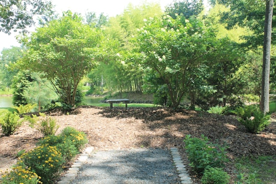 A peaceful backyard garden showcasing a wooden bench surrounded by vibrant shrubs and a small water feature.