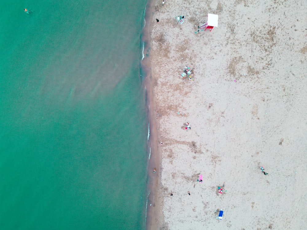 an aerial view of a beach with people on it