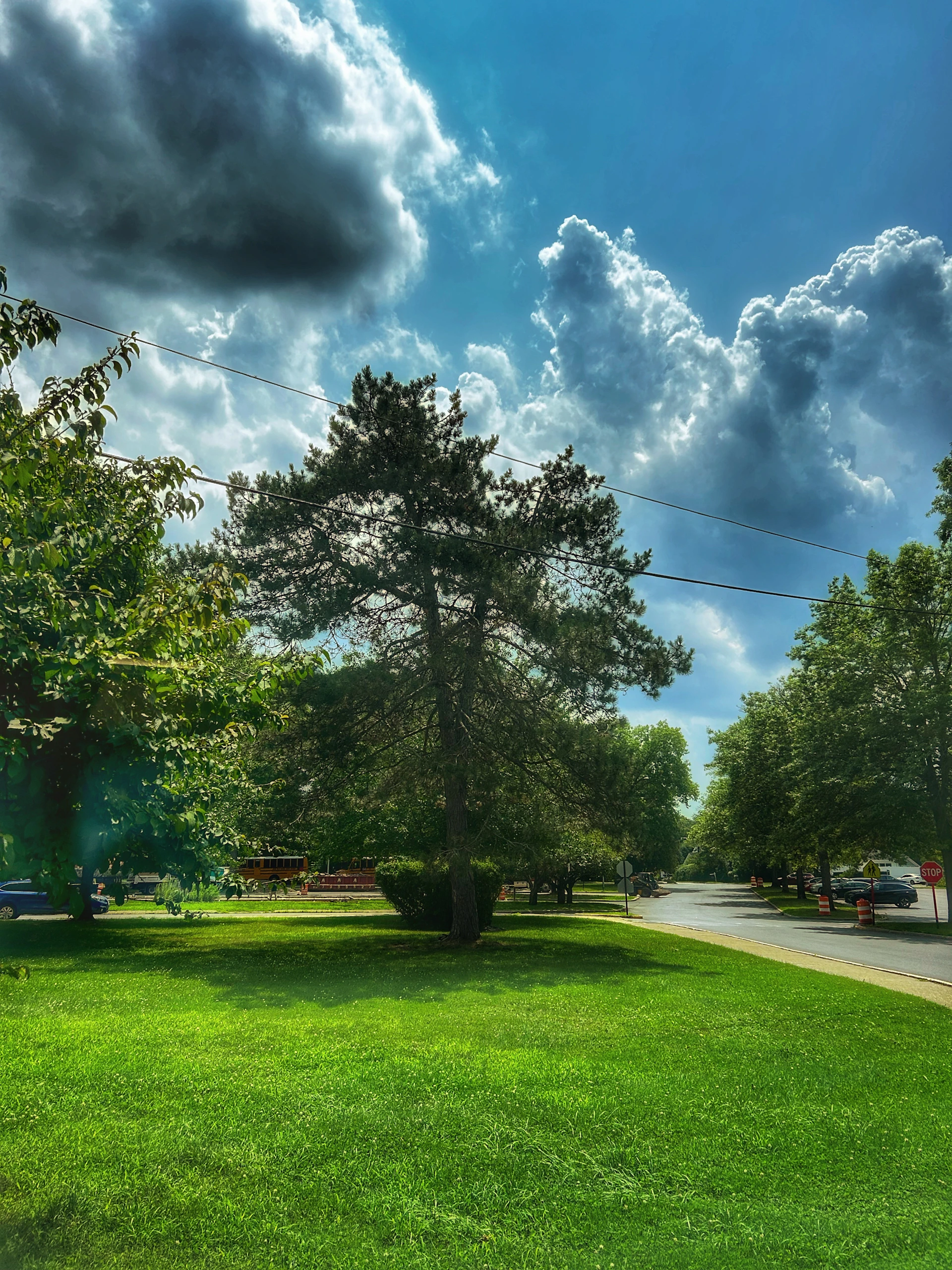 black and white bed linen