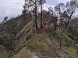 A group of hikers are trekking along a narrow, forested mountain ridge. The steep slopes are covered in dense greenery and tall trees. The sky is overcast, suggesting an impending change in weather.