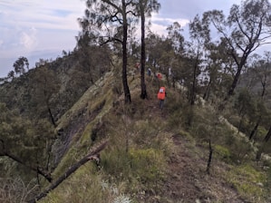 A group of hikers are trekking along a narrow, forested mountain ridge. The steep slopes are covered in dense greenery and tall trees. The sky is overcast, suggesting an impending change in weather.