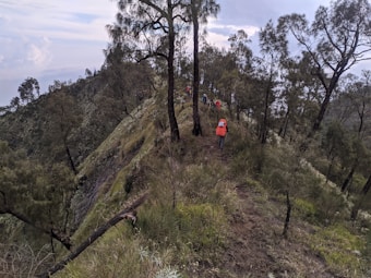 A group of hikers are trekking along a narrow, forested mountain ridge. The steep slopes are covered in dense greenery and tall trees. The sky is overcast, suggesting an impending change in weather.