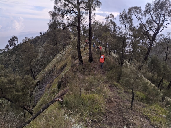 A group of hikers are trekking along a narrow, forested mountain ridge. The steep slopes are covered in dense greenery and tall trees. The sky is overcast, suggesting an impending change in weather.