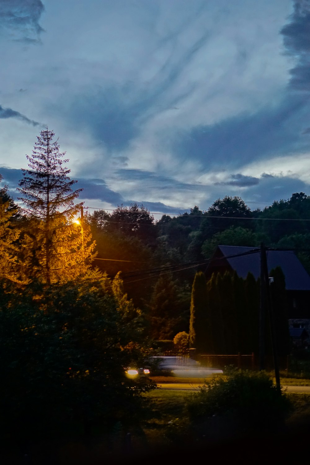 a car driving down a street next to a forest