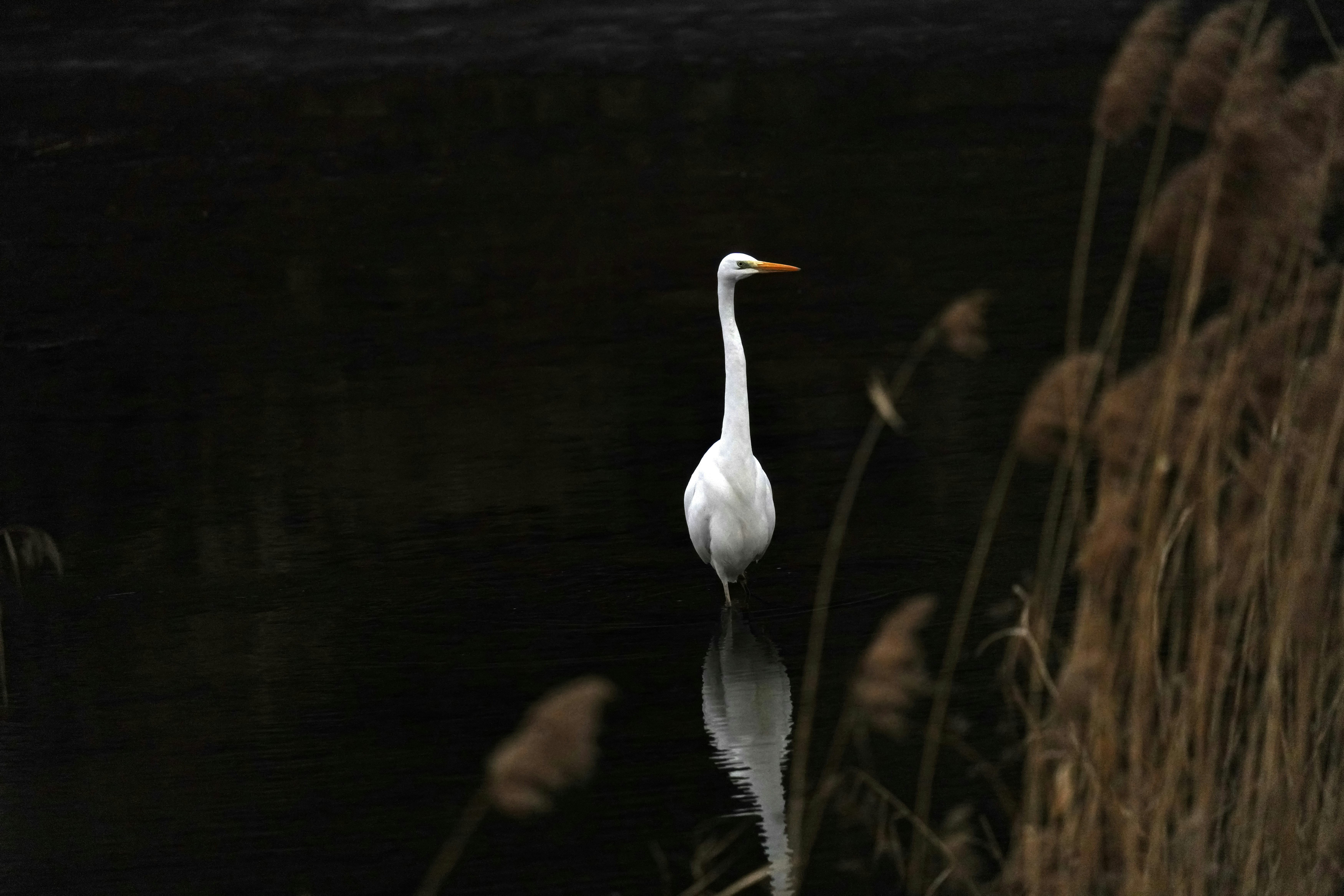 Photo by kim_dae_jeung