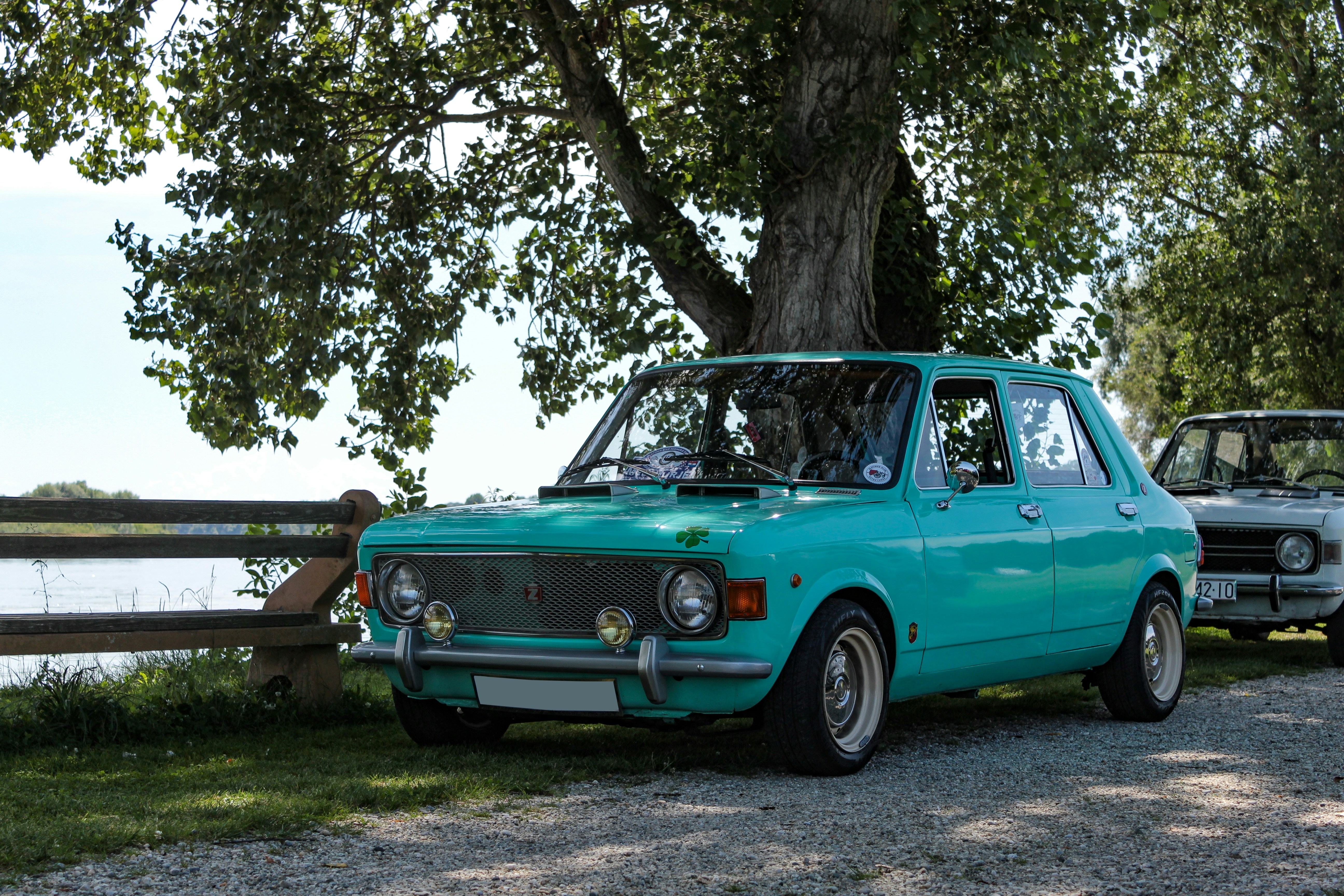 two cars parked next to each other near a tree