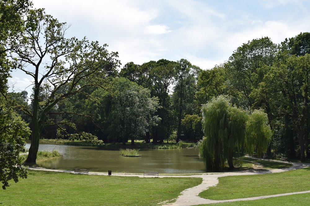 a pond in a park with a path leading to it