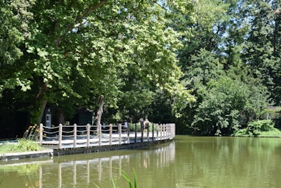 A serene park scene with a wooden walkway bordered by rope railings that winds alongside a calm body of water. Tall, lush green trees provide ample shade, creating a tranquil and inviting atmosphere.
