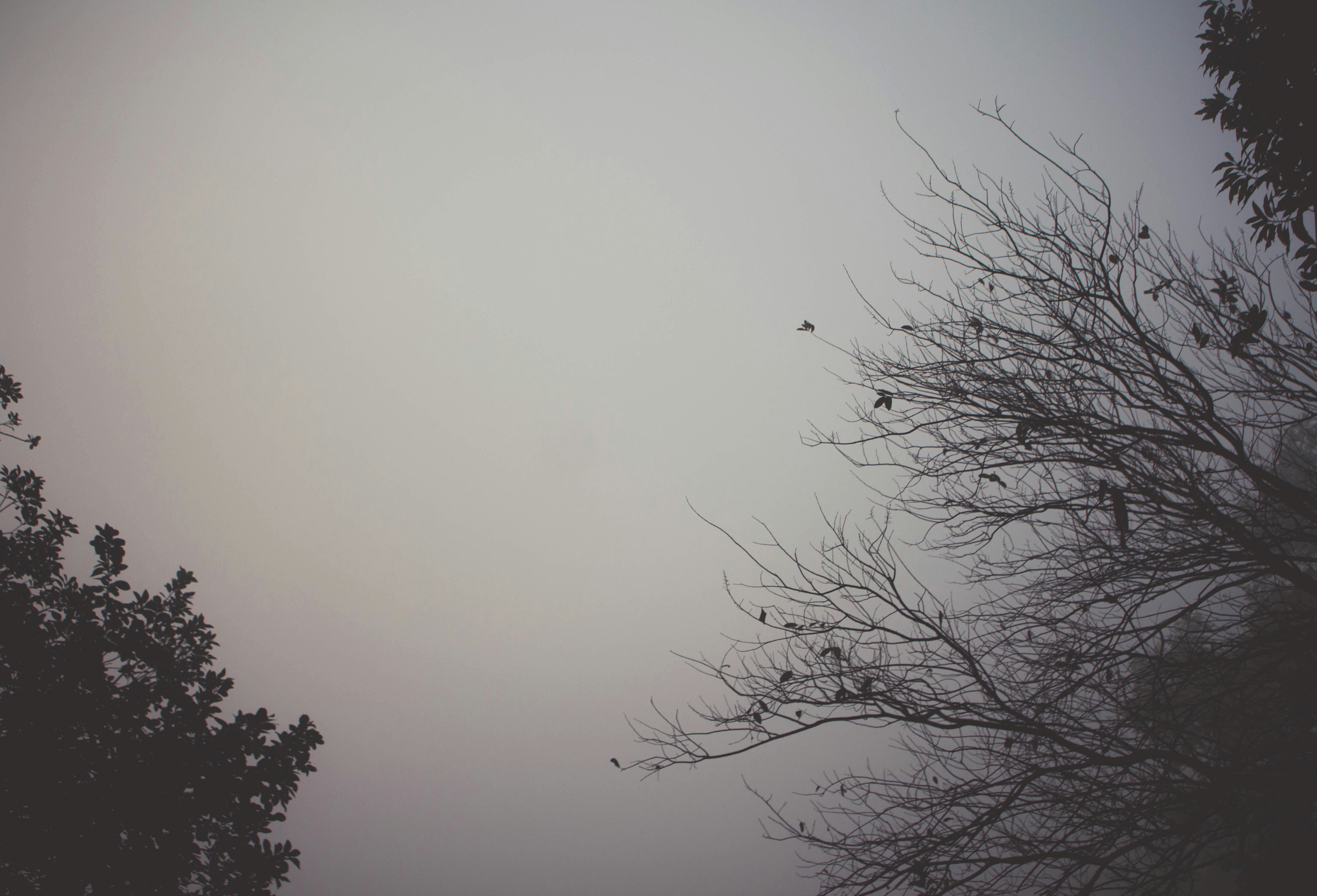 Photo by tuser08