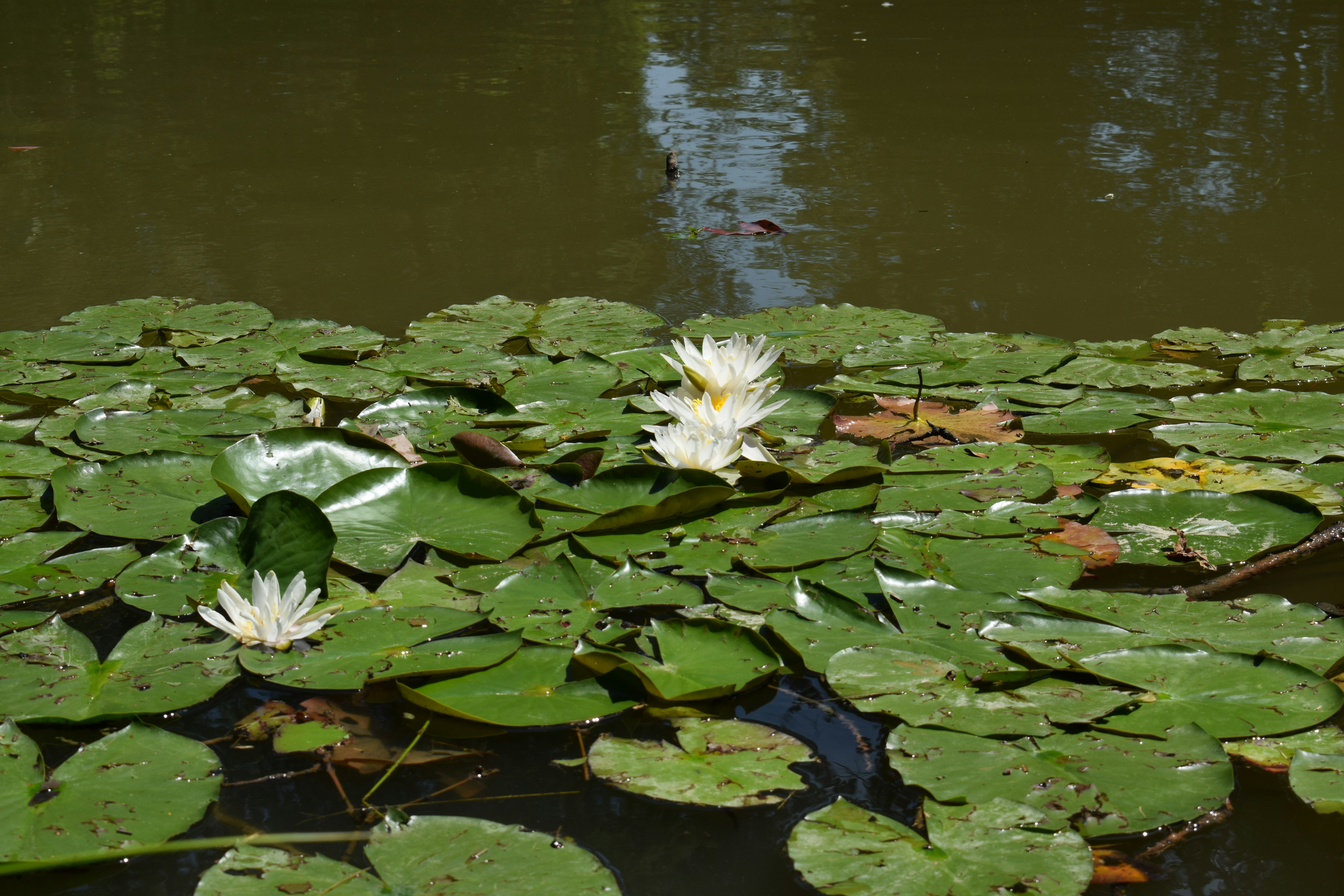 Photo by kristina001