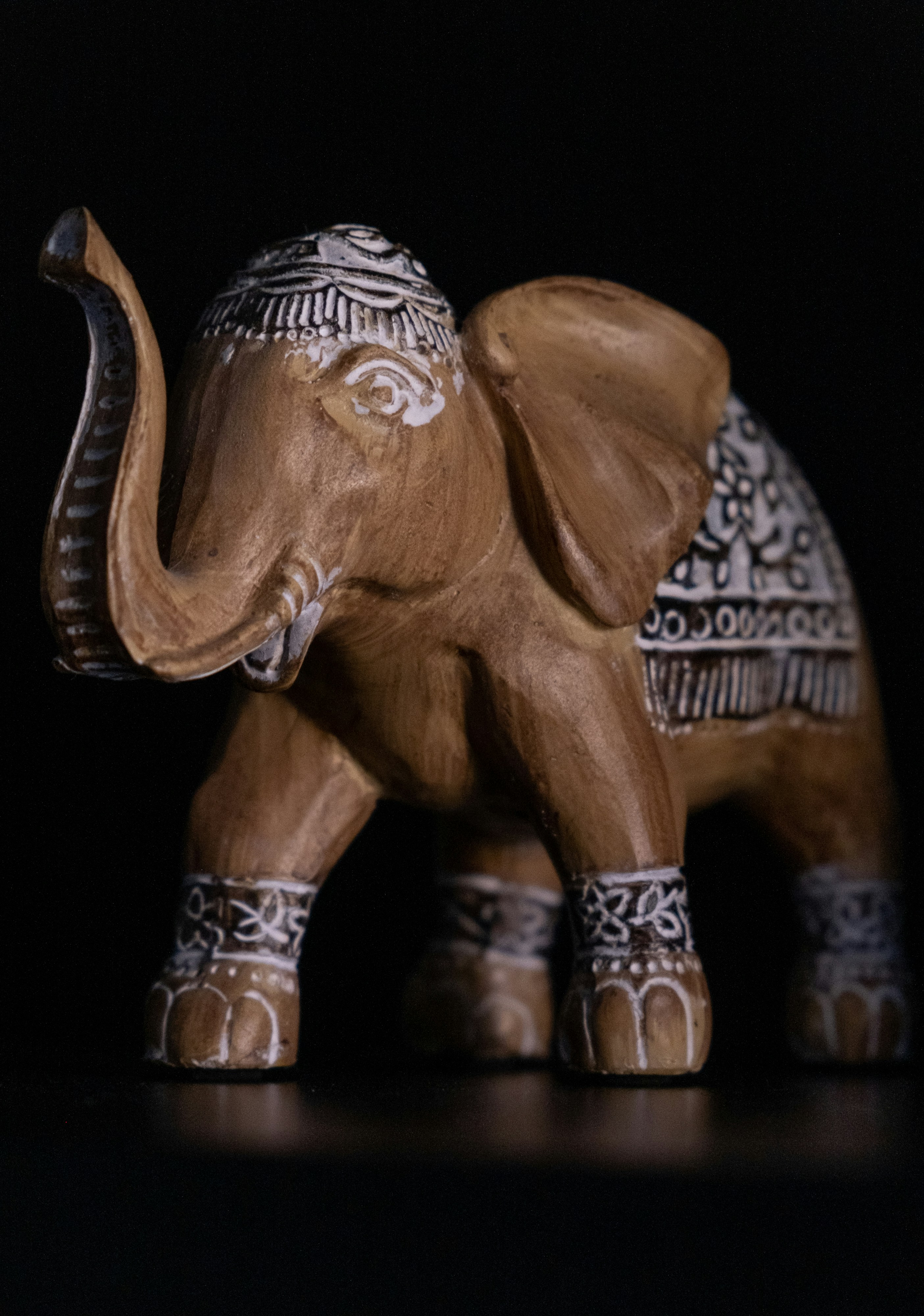 Photo by julinda_photos