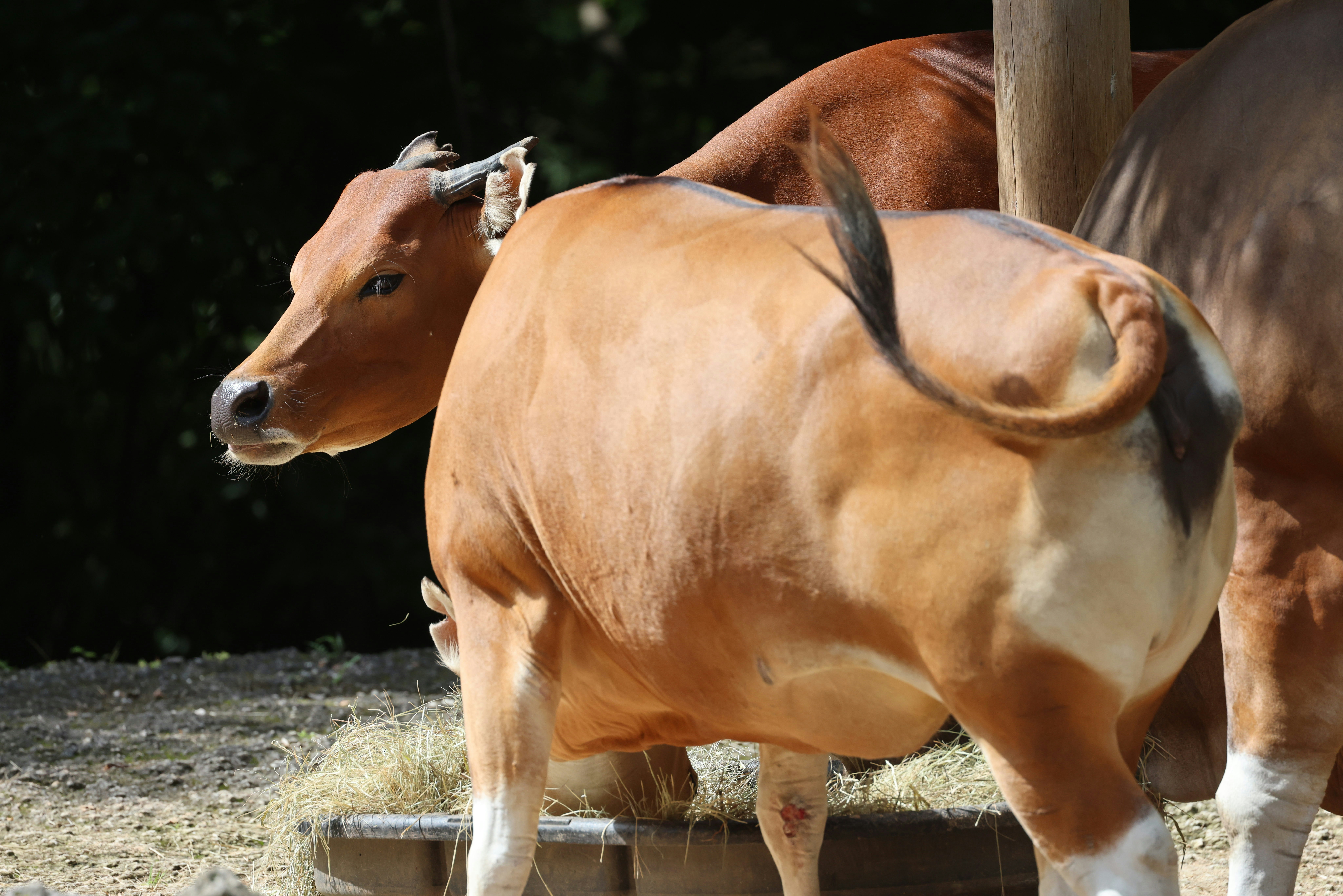 Photo by thephotochad