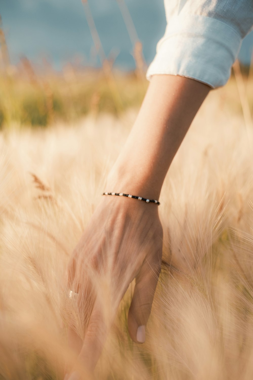 a mão de uma mulher em um campo de trigo