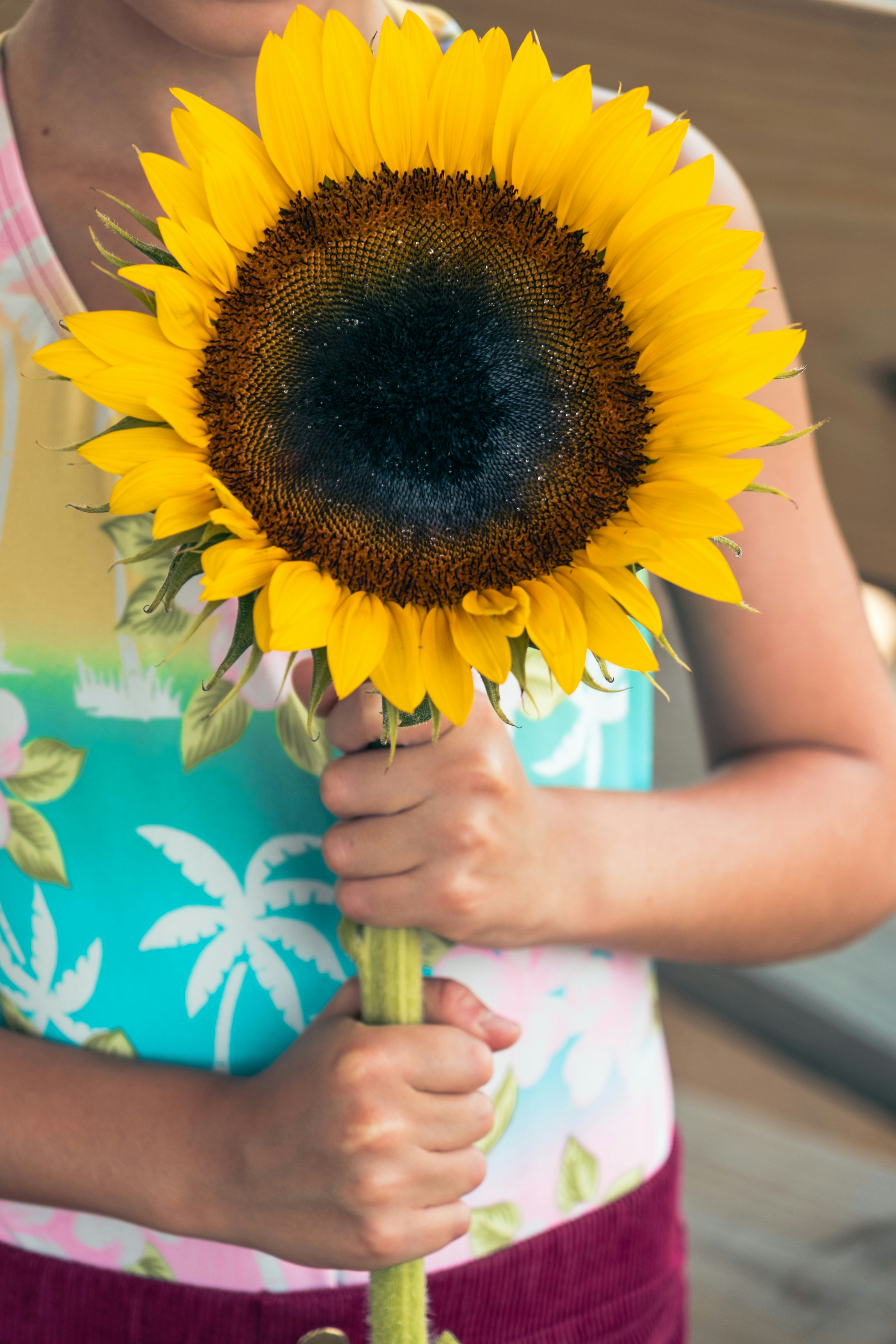 Photo by nellie_adamyan