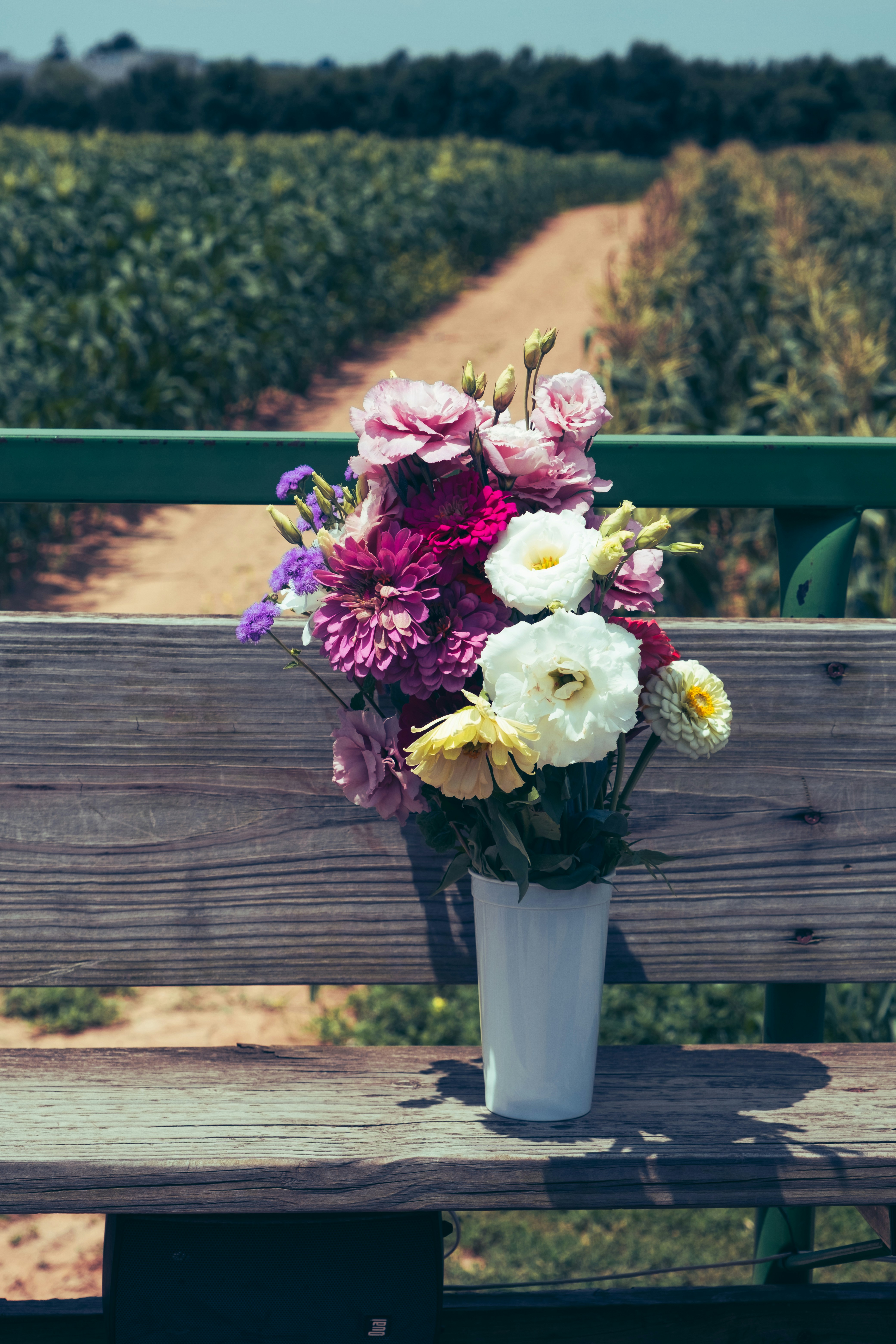 Photo by nellie_adamyan