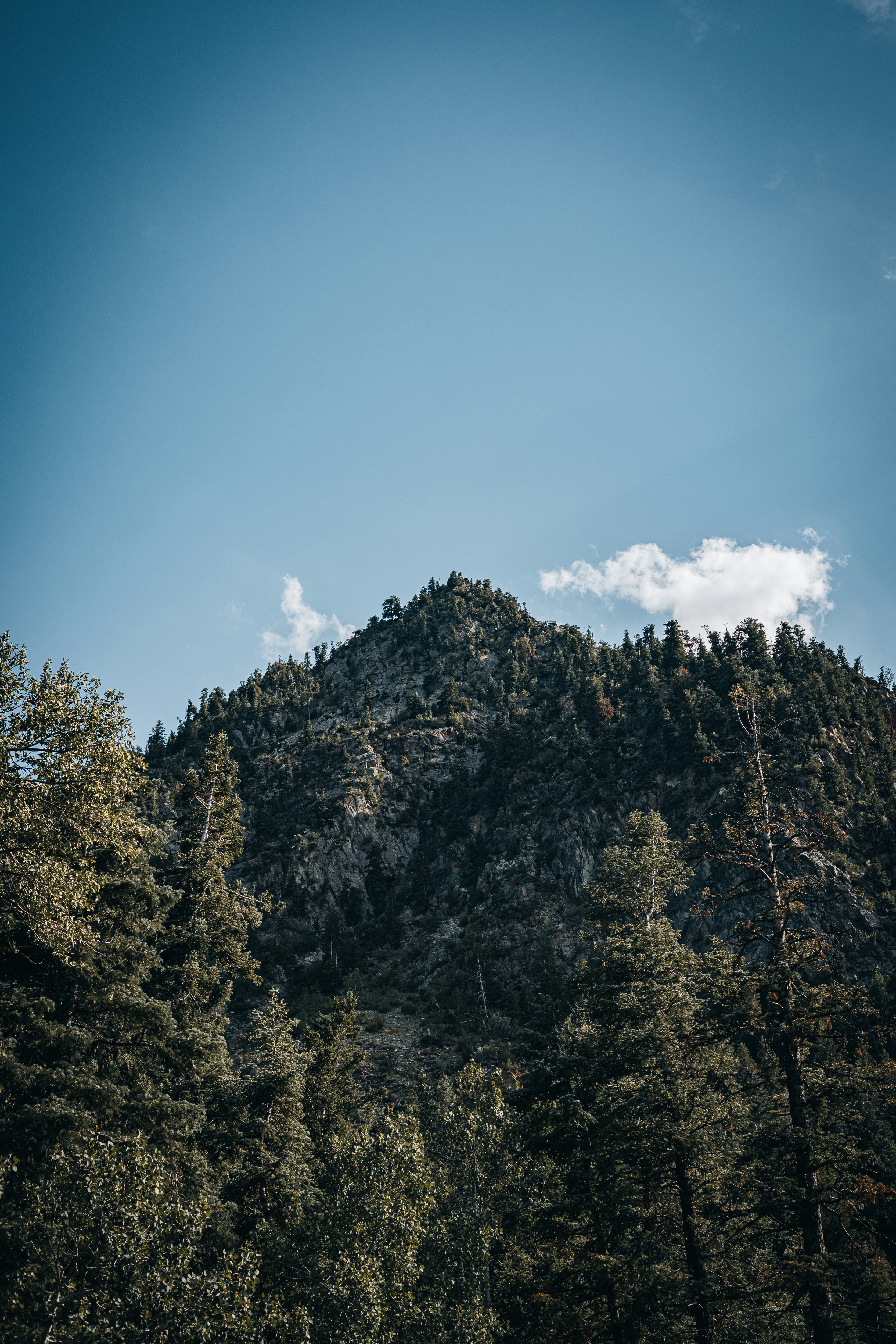 Photo by isaactmitchell