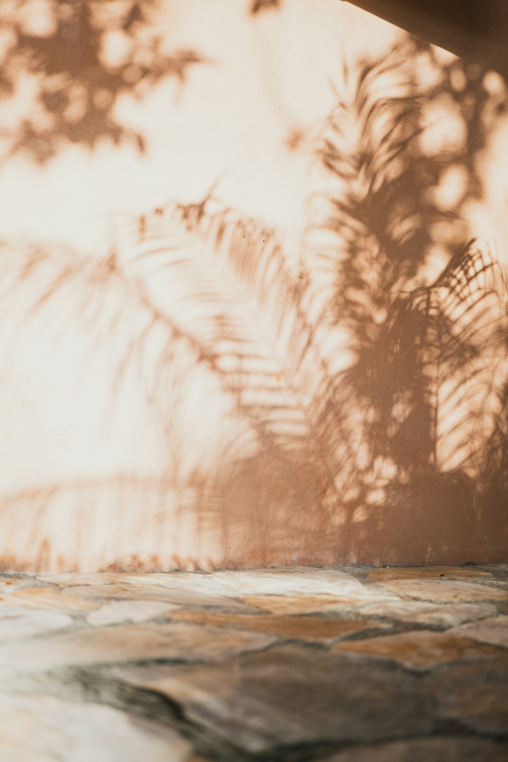 a cat is sitting on a ledge in front of a palm tree