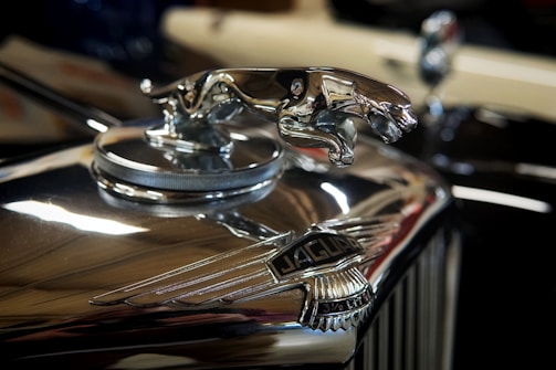 A close-up of a chrome hood ornament depicting a leaping jaguar, mounted on a vintage car's radiator cap. The emblem below features the word 'Jaguar' with wings extending from each side, set against a gleaming, reflective surface with blurred background elements.