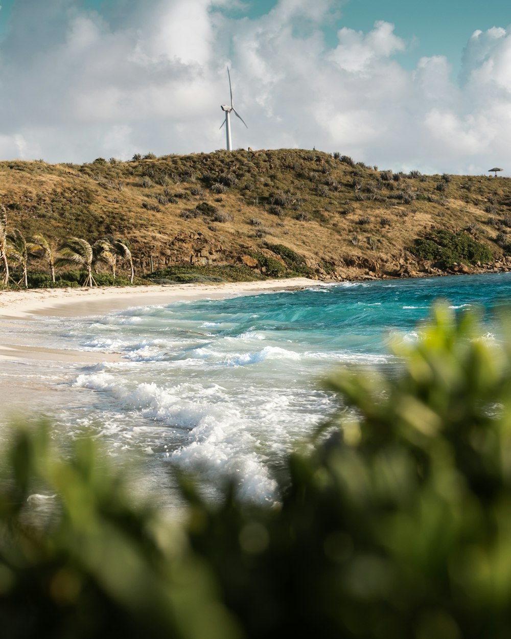 a view of a beach with a windmill in the background