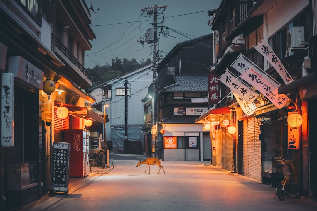 a street scene with a deer in the middle of the street,