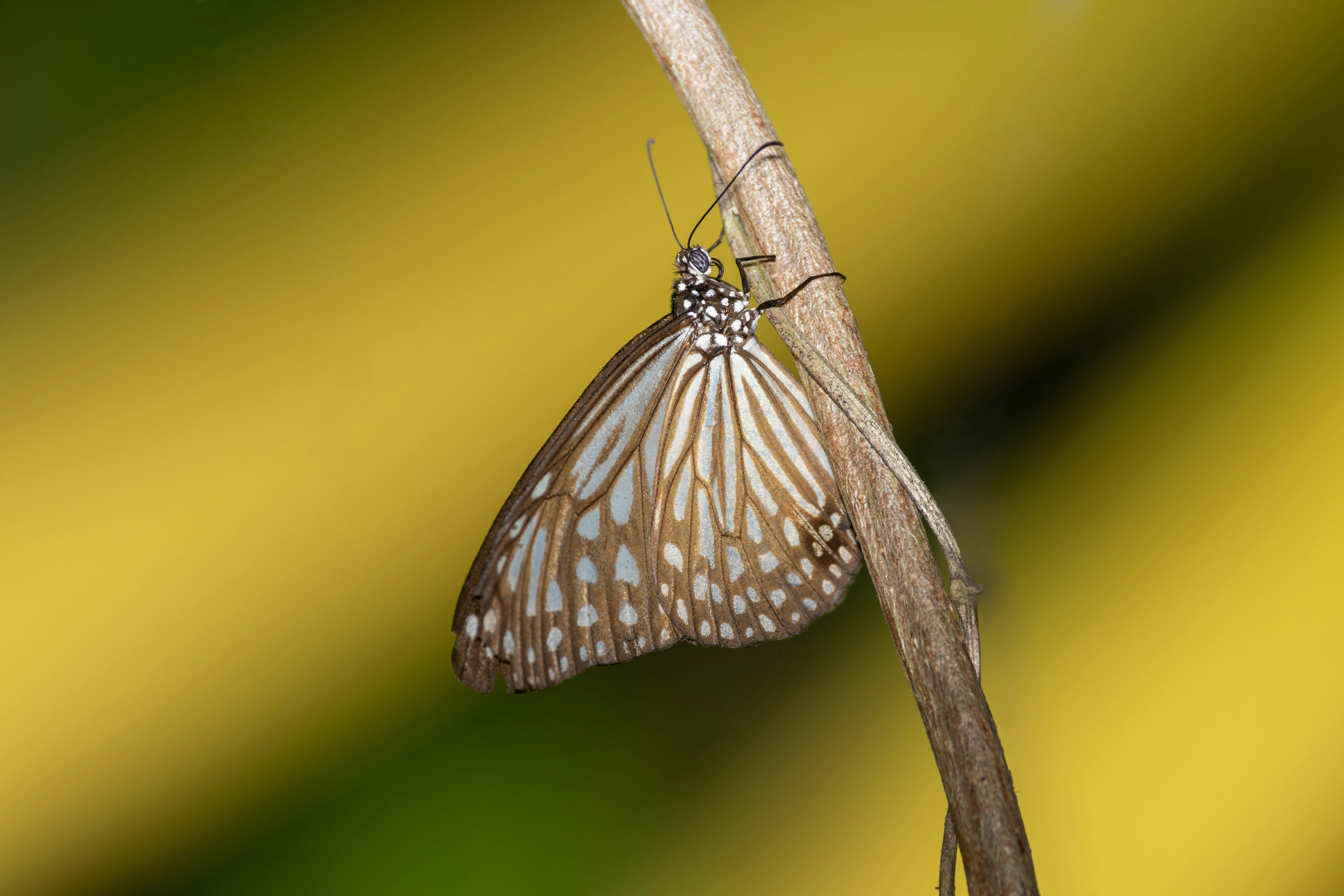 Photo by manhhung