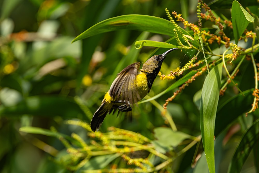 a small bird flying through a lush green forest