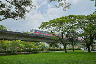 a train traveling over a bridge over a lush green park