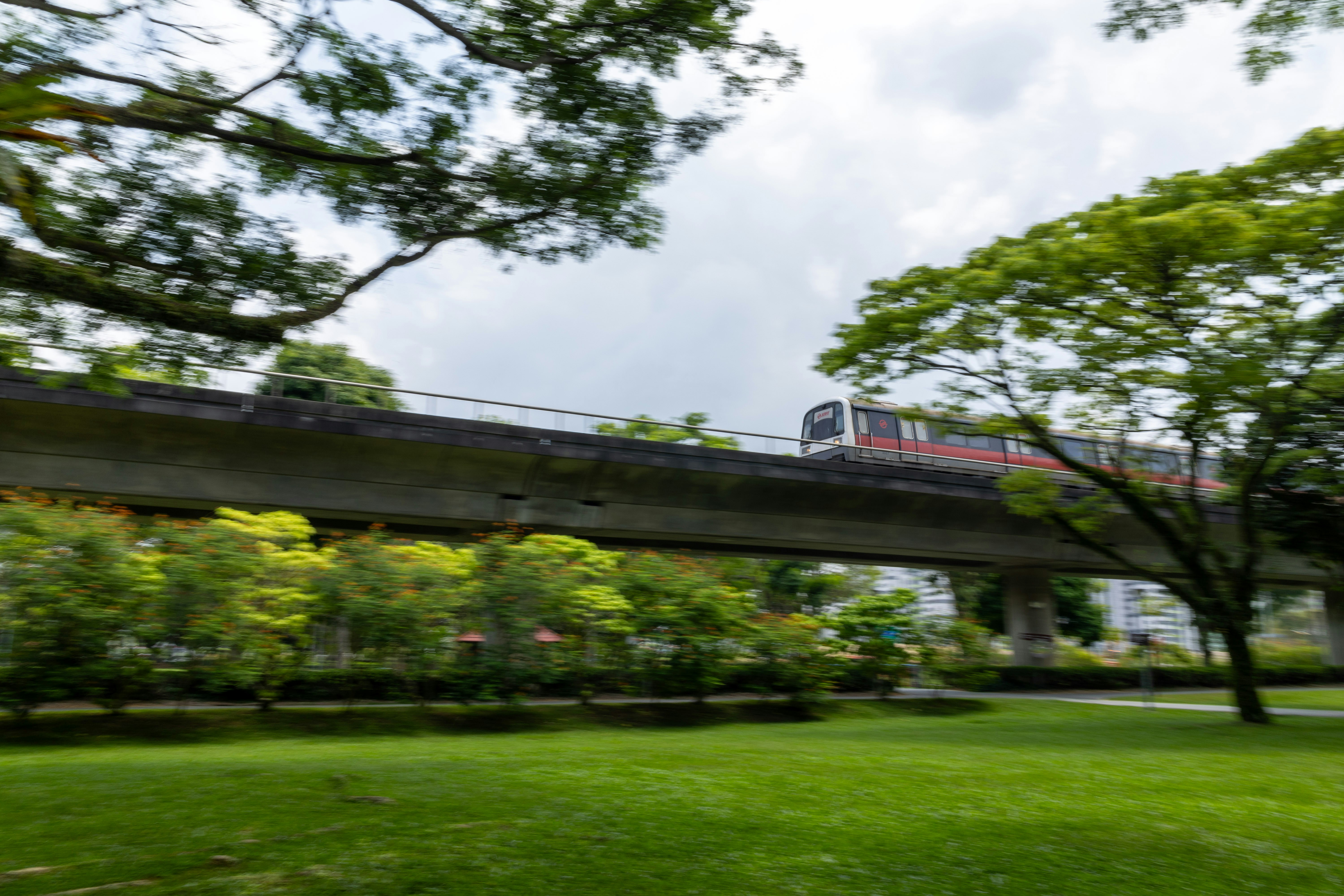 um trem viajando sobre uma ponte sobre um parque verde exuberante