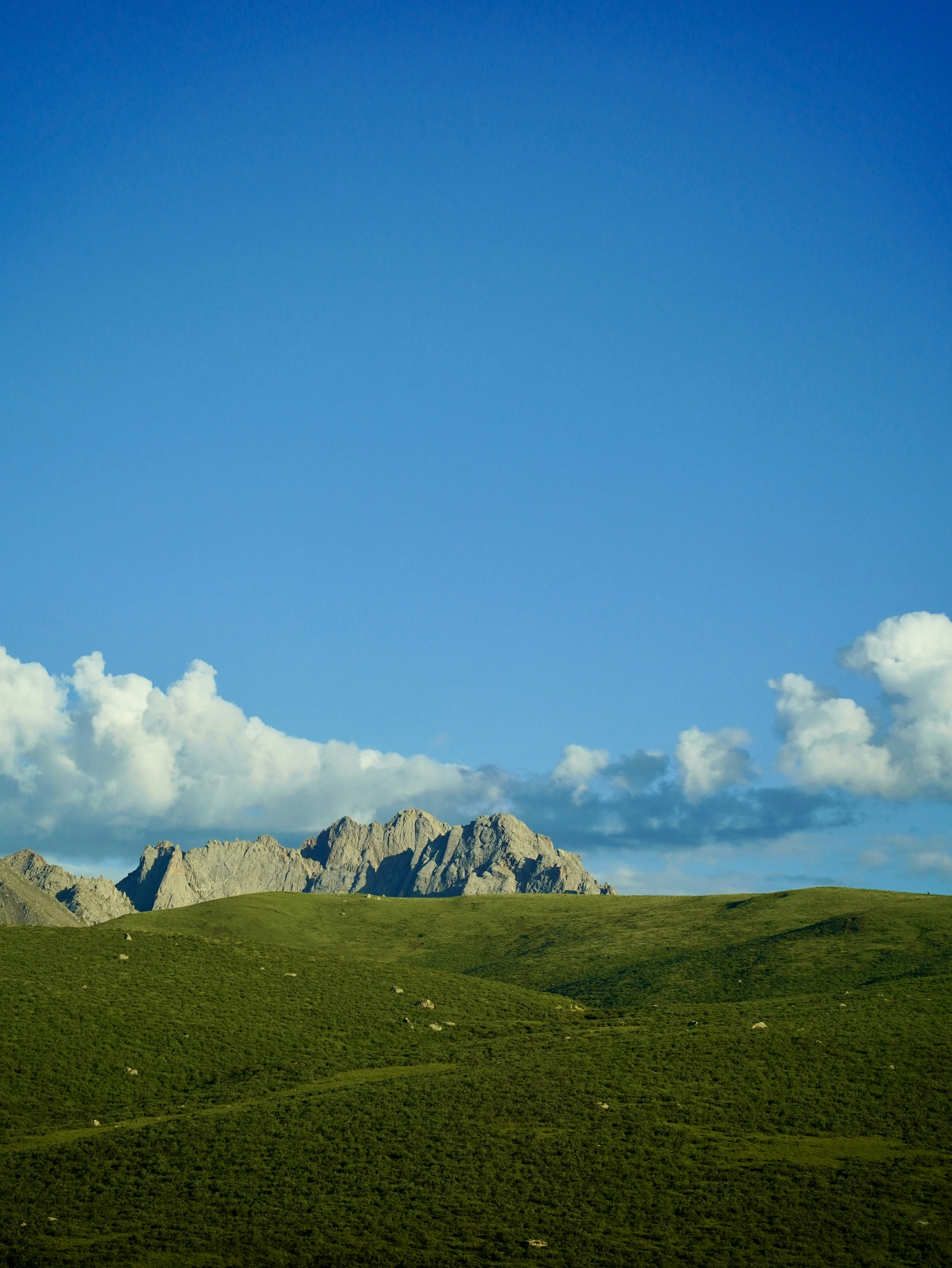 Photo by dlfornothing