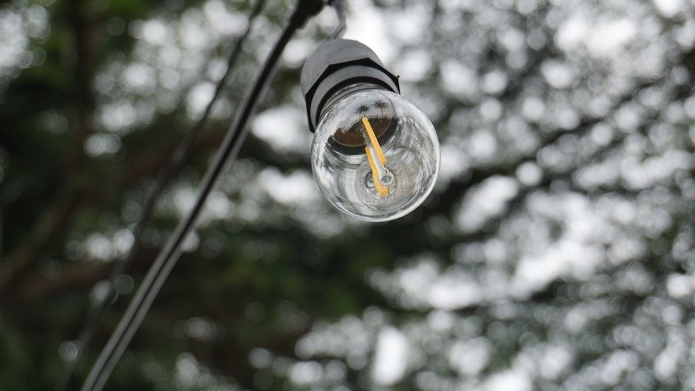 a light bulb hanging from a wire with trees in the background