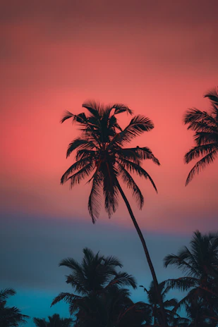 Pixel art style sunset with palm trees and a glowing synthwave horizon.