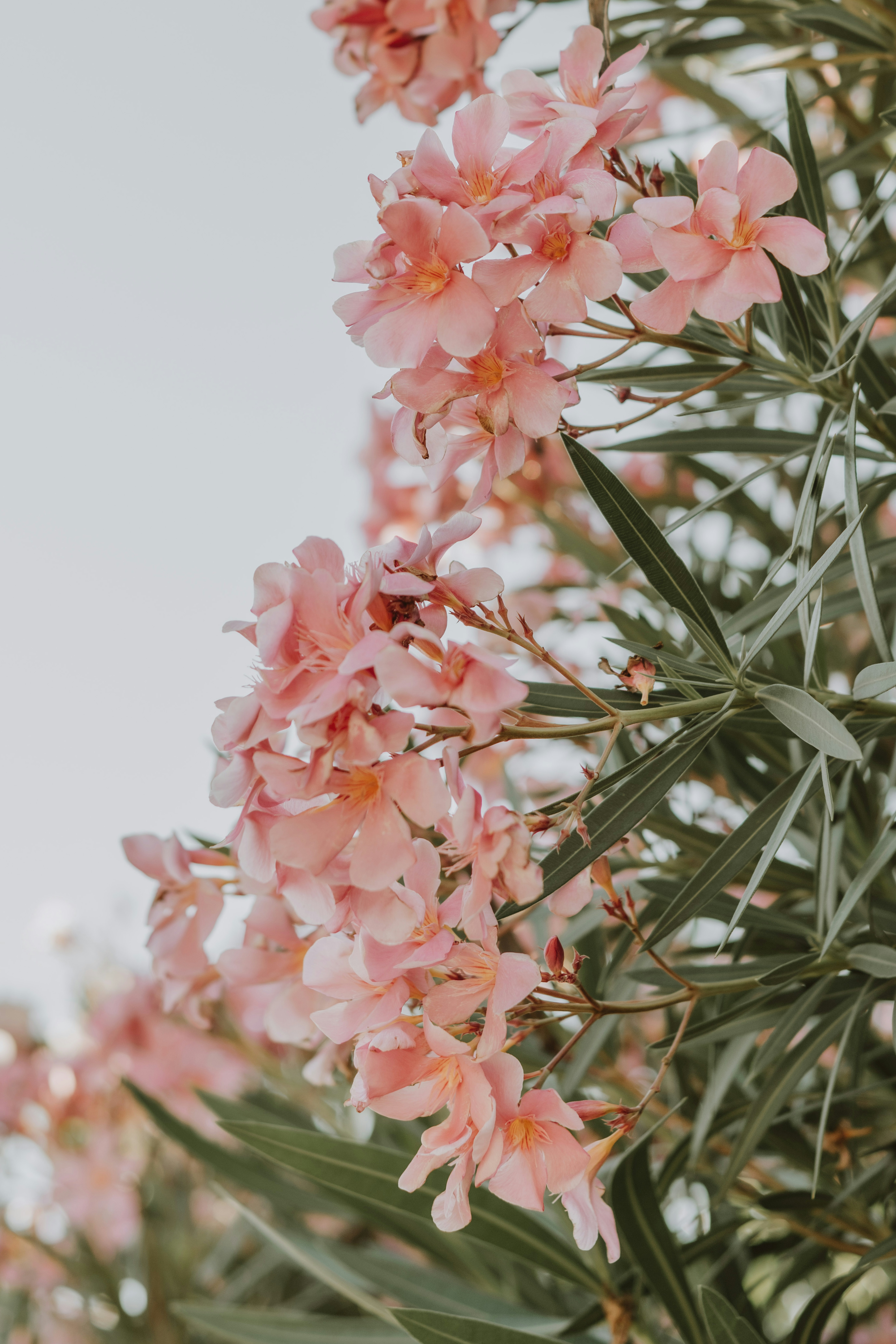 Photo by anitaaustvika