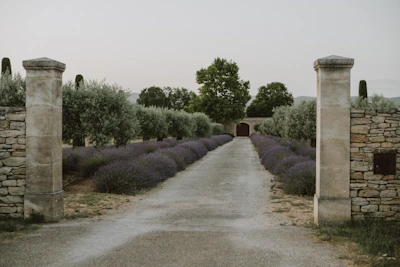 A cozy backyard garden with winding stone paths and blooming lavender beds.