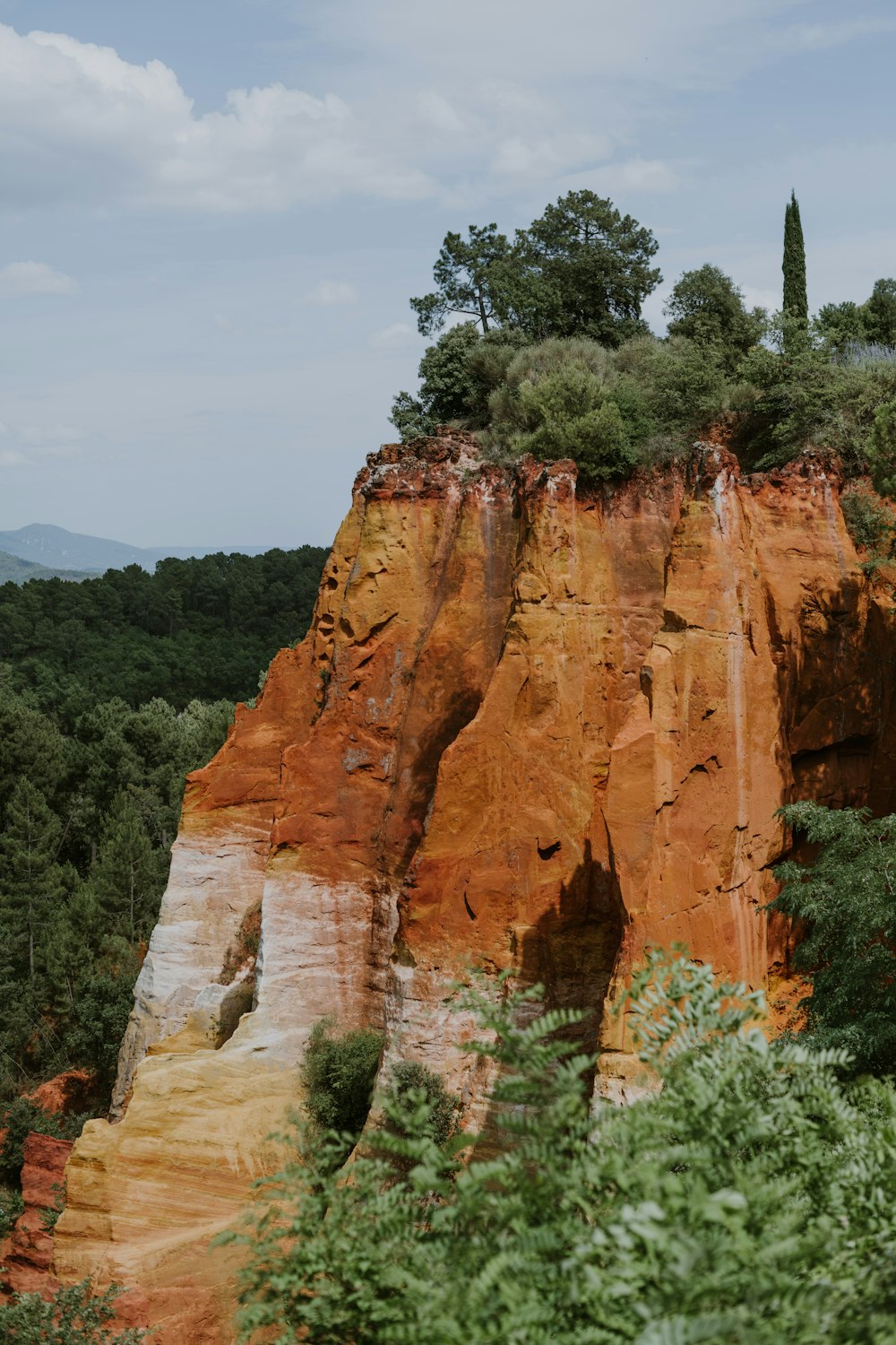 a large cliff with trees on top of it