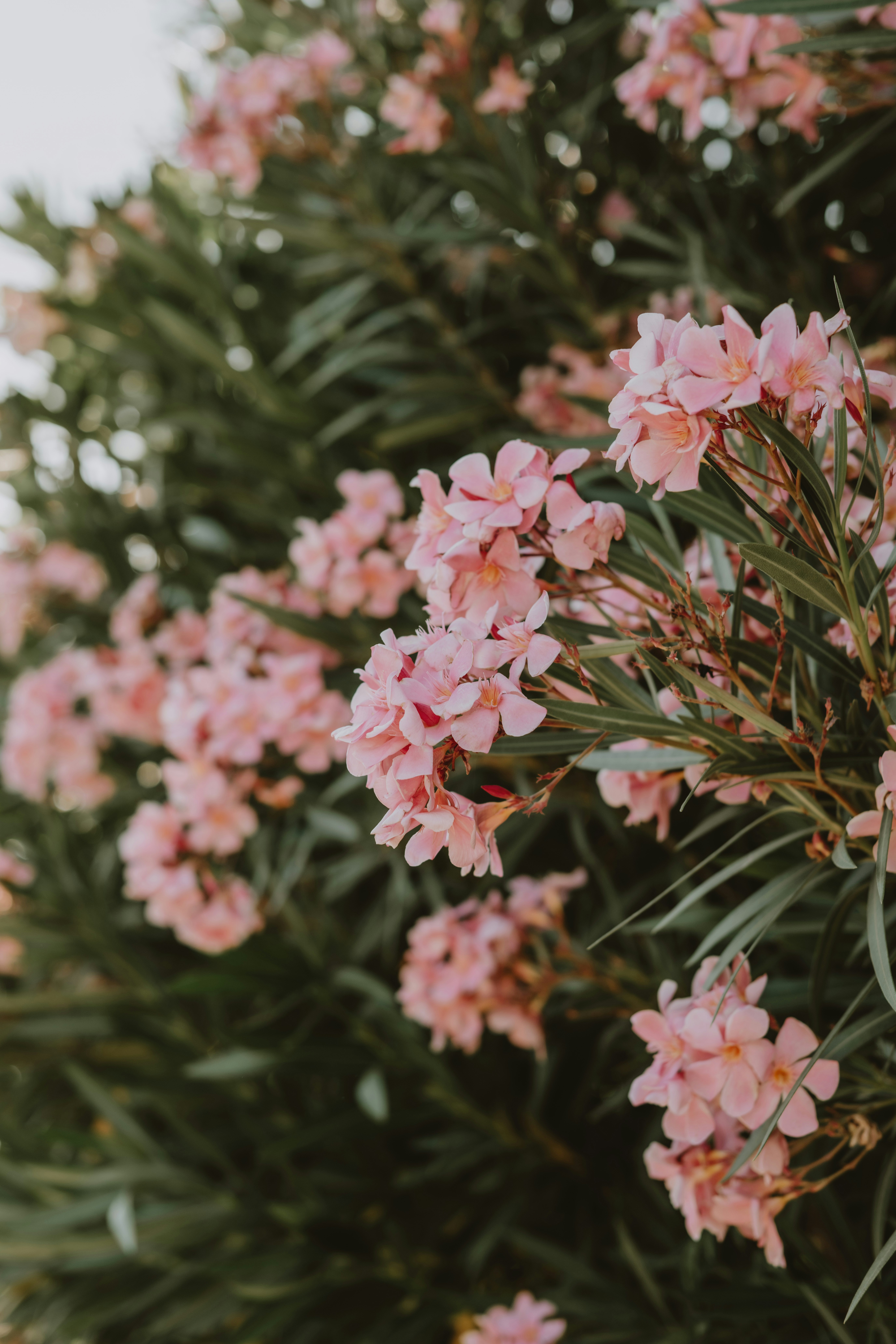 Photo by anitaaustvika