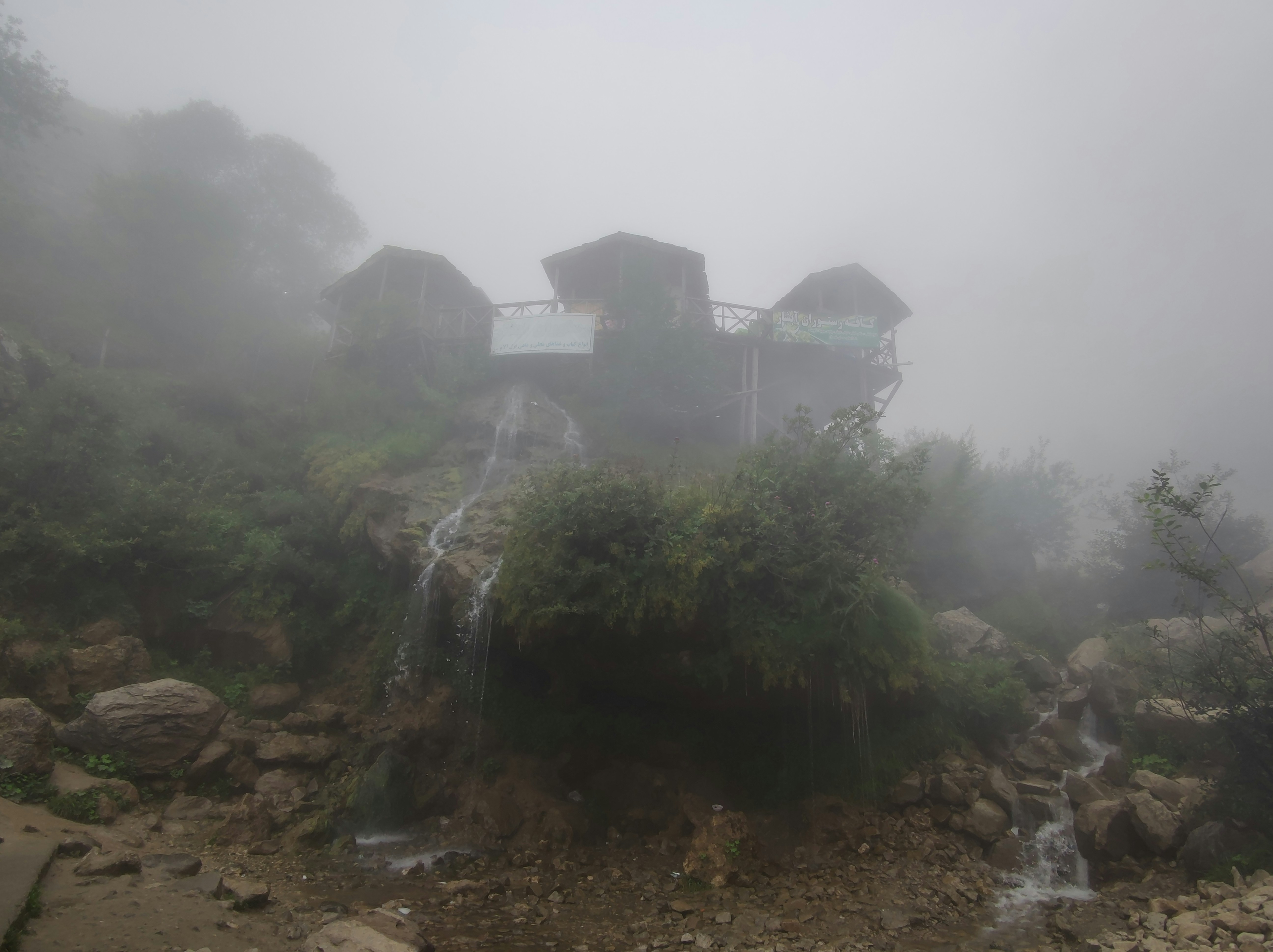 霧のかかった湿地帯