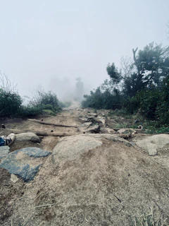 A misty trail winding through dense, rain-soaked forest in the Western Ghats at dawn.
