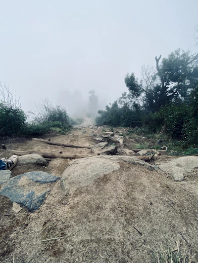 A misty trail winding through dense, rain-soaked forest in the Western Ghats at dawn.