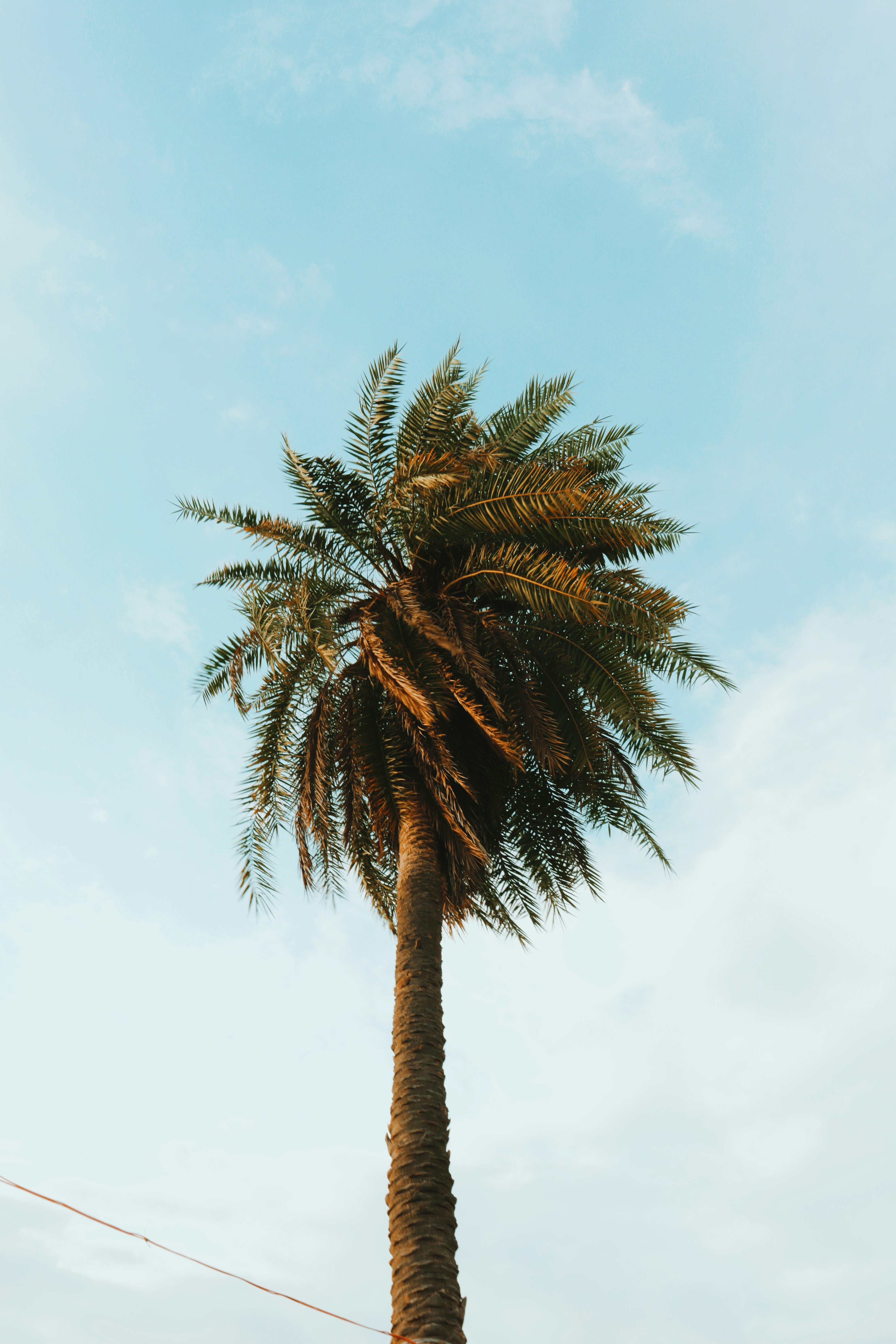 Photo by sincegameon