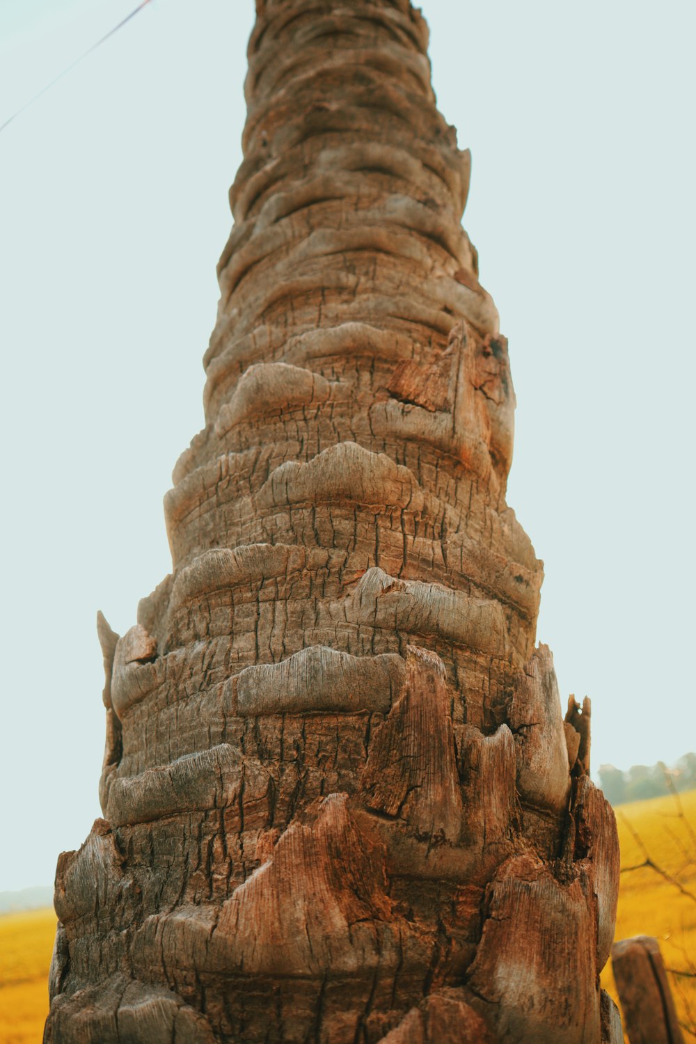 a very tall wooden structure in the middle of a field