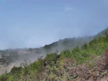 A misty morning view of Cantareira mountain range with lush green forest.