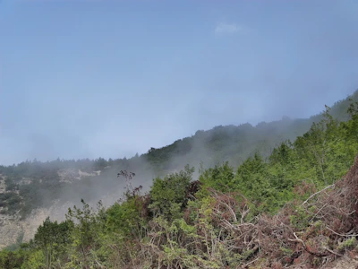 A misty morning view of Cantareira mountain range with lush green forest.